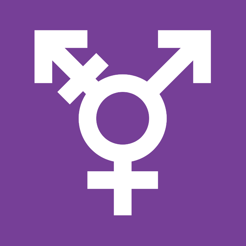 Thumbnail for Module 5: PrEP for Transgender People
